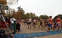 2010CIF XC BD5-0916